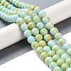 Baking Paint Glass Bead Strands GLAA-H031-01C-08-2