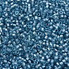 MIYUKI Delica Beads SEED-MY11-DB2383-3