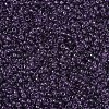 MIYUKI Round Rocailles Beads SEED-JP0008-RR0157-3