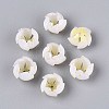 Flower Acrylic Bead Caps SACR-T017-49A-1