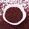 MIYUKI Delica Beads X-SEED-J020-DB0603-2