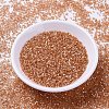 MIYUKI Delica Beads SEED-X0054-DB1864-2