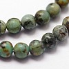 Natural African Turquoise(Jasper) Beads Strands G-N0188-02-2mm-3