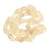 Raw Rough Natural Lemon Quartz(Heated) Beads Strands G-M453-C01-3
