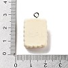 Cookies Theme Imitation Food Resin Pendants LS-RESI-B021-02C-05-3