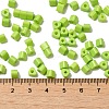 Baking Paint Glass Bead SEED-H002-K-D302-4