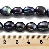 Dyed Natural Cultured Freshwater Pearl Beads Strands PEAR-P062-30D-5
