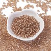 6/0 Glass Seed Beads X1-SEED-A005-4mm-39A-1