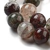 Natural Four Seasons Lodolite Quartz Beads Strands G-Z063-A02-01-4