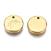 316 Surgical Stainless Steel Charms STAS-S116-418F-G-3