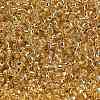 12/0 Grade A Round Glass Seed Beads SEED-Q007-F33-3