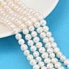 Natural Cultured Freshwater Pearl Beads Strands PEAR-I007-07W-01-1