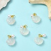 5Pcs Natural Agate Shell Shaped Pendants G-YW0002-43-2