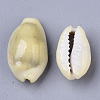 Natural Cowrie Shell Beads SSHEL-N034-C-26-3