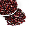 Oval Glass Seed Beads SEED-T009-02H-2