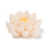 Two Tone Opaque Resin Decoden Cabochons RESI-K042-01B-2