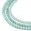 Natural Amazonite Beads Strands G-K365-C04-01-4