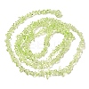 Transparent Glass Beads Strands GLAA-P060-01C-18-2