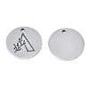 Non-Tarnish 304 Stainless Steel Charms STAS-T059-26P-A-3