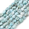 Natural Larimar Beads Strands G-K203-48-1