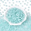 FGB Grade A Drawbench Style Glass Seed Beads SEED-Q040-02A-06-1