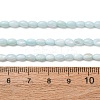 Dyed Natural Freshwater Shell Beads Strands SH-CBA2978-06C-4