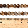 Natural Banded Agate(Dyed & Heated) Beads Strands G-C179-A6mm-20-5