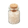 Transparent Glass Wishing Bottle Decoration DJEW-A001-01A-05-1