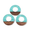 Resin & Wood Pendants WOOD-F015-14B-1