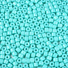 Opaque Baking Paint Glass Seed Beads SEED-T008-02O-3