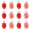 12Pcs 2 Colors Resin Pendants RESI-CJ0004-71-1