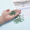 6/0 Glass Seed Beads SEED-YW0001-25F-7