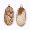 Natural Picture Jasper Pendants G-T112-23B-2