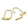 Ion Plating(IP) 304 Stainless Steel Leverback Earring Findings LS-STAS-P360-02B-G-2