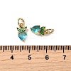 Brass Micro Pave Cubic Zirconia Charms ZIRC-H119-06G-M-4