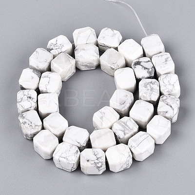 Natural Howlite Beads Strands G-N353-03A-07-1