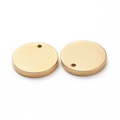 PVD Vacuum Plating 304 Stainless Steel Stamping Blank Tag Charms LS-STAS-G215-11G-1