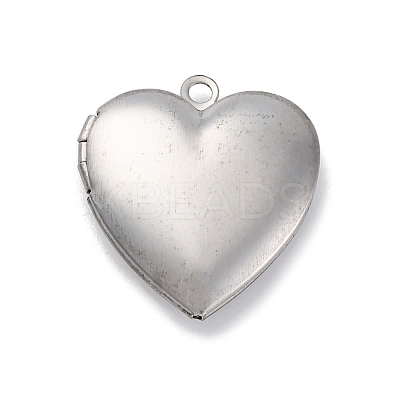 304 Stainless Steel Pendants STAS-S171-13P-08-1