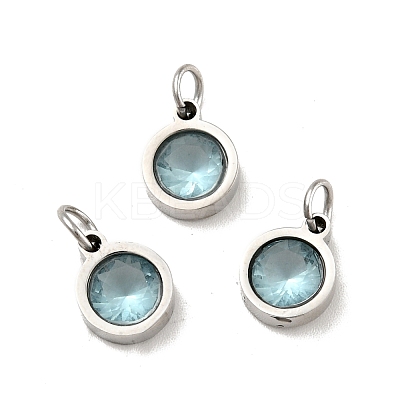 304 Stainless Steel Pendants STAS-D189-07P-C-1