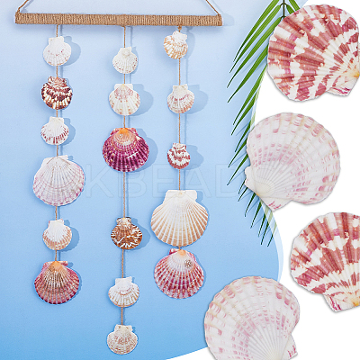 500G Natural Shell Ornaments DJEW-FH0001-35A-1
