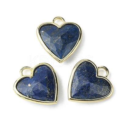 Natural Lapis Lazuli Pendants G-O204-01F-1