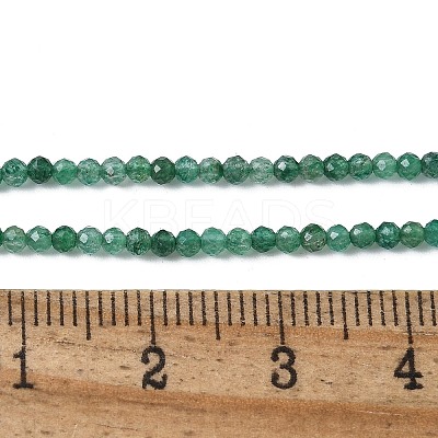 Natural Fuchsite Beads Strands G-C009-A27-01-1