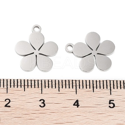 Non-Tarnish 316 Stainless Steel Charms LS-STAS-C096-10C-P-1