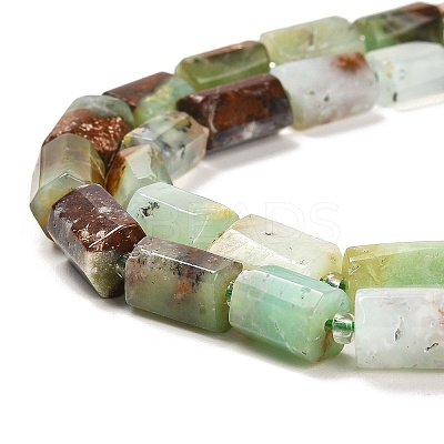 Natural Chrysoprase Beads Strands G-G068-A34-01-1