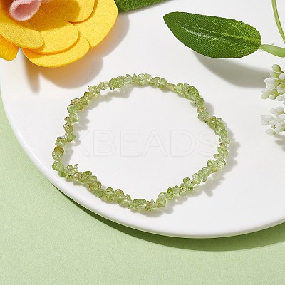 Natural Olive Jade Chips Beaded Stretch Bracelets for Women BJEW-JB10046-02-1