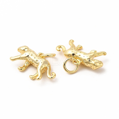 Rack Plating Brass Pendants KK-H436-12G-1