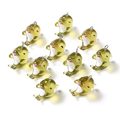 Marine Series Transparent Resin Pendants RESI-E031-02P-10-1