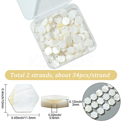 2 Strands Natural Freshwater Shell Beads Strands SSHEL-SC0001-36C-1