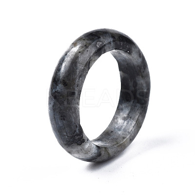 Natural Black Larvikite Plain Band Ring G-N0326-99C-1