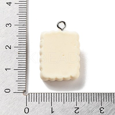 Cookies Theme Imitation Food Resin Pendants LS-RESI-B021-02C-05-1